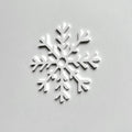 A white snowflake is centered against a plain white background. - Photo #1