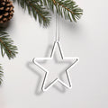 A white star-shaped ornament is hanging from a branch of a pine tree, with pine needles visible in the background. - Photo #2
