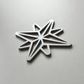 A silver star-shaped object is shown against a plain white background. - Photo #4
